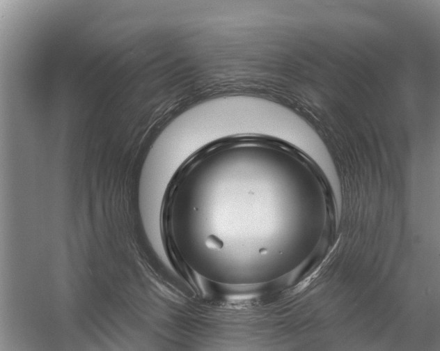 X0000058770175200510071552