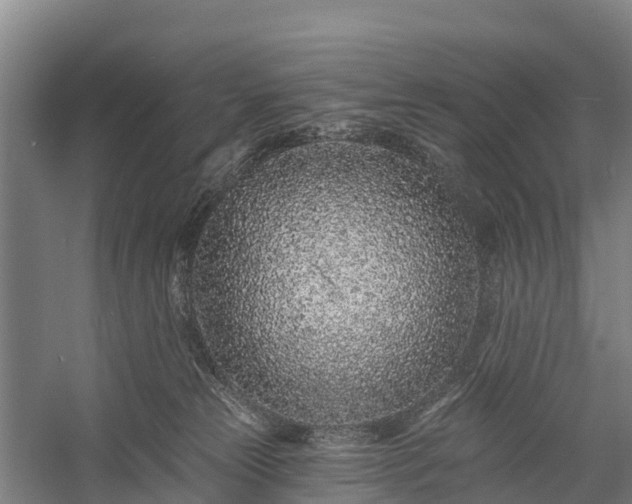 X0000058770181200510071552