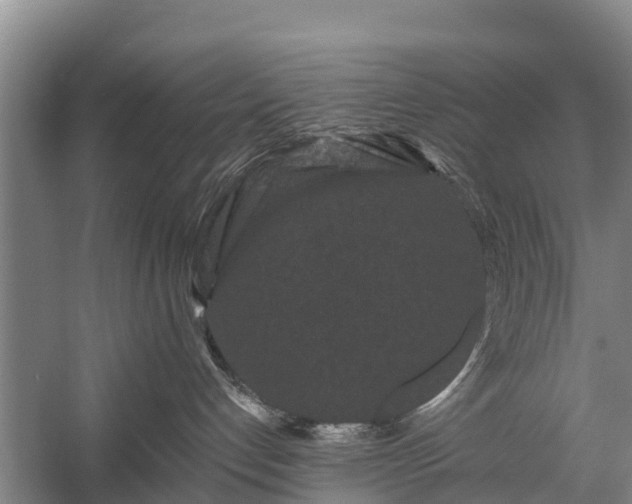 X0000058770192200510071552