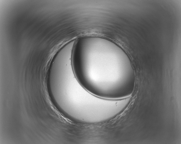 X0000058770193200510071551