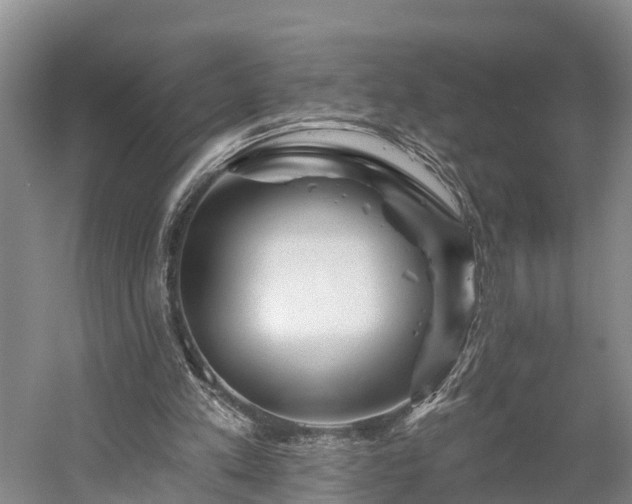 X0000058770197200510071551