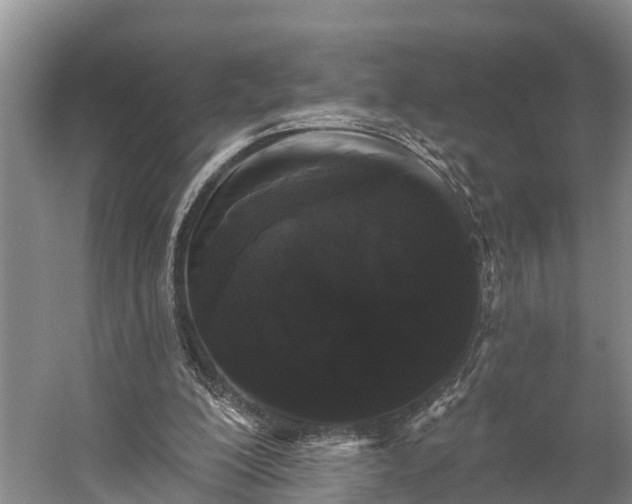 X0000058770200200510071551