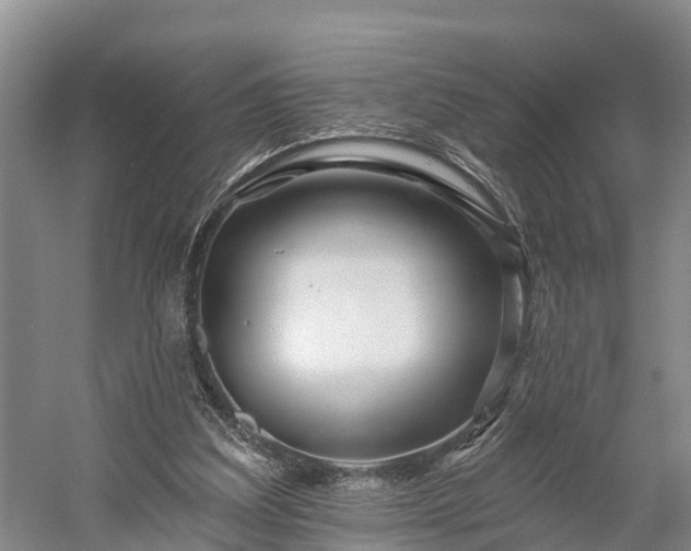X0000058770203200510071551