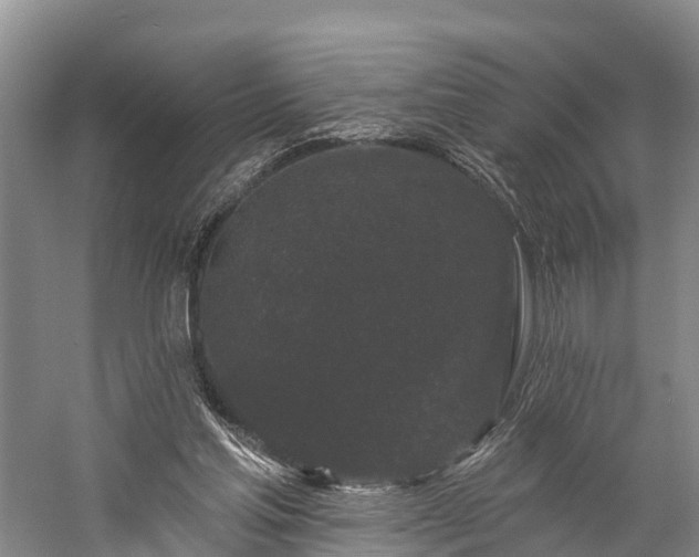 X0000058770205200510071551