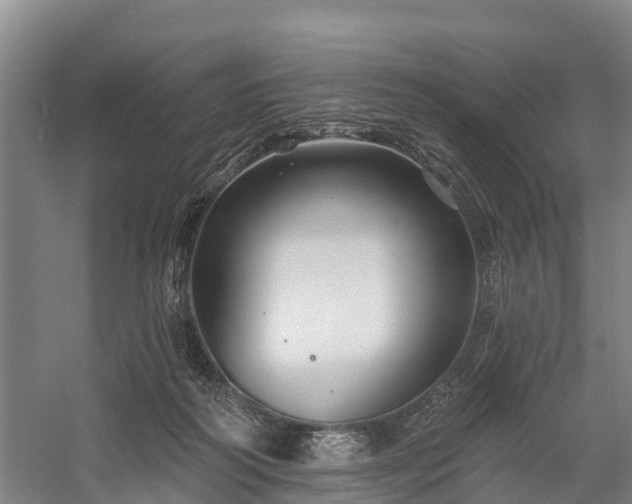 X0000058770218200510071551
