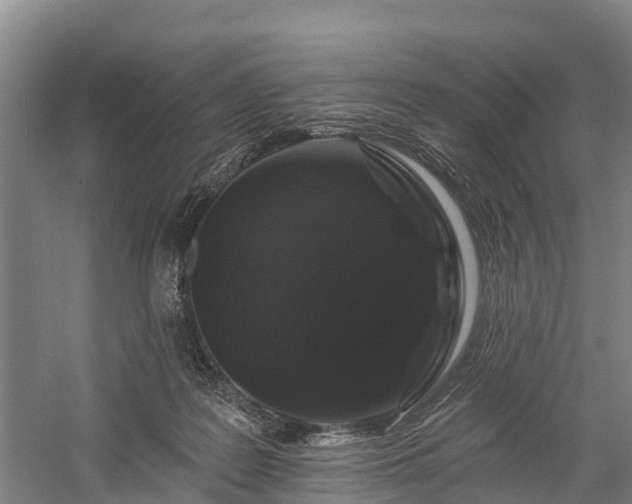 X0000058770219200510071551