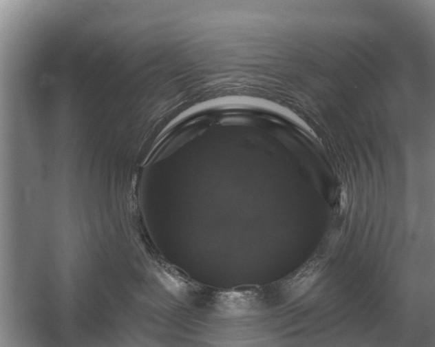 X0000058770239200510071551
