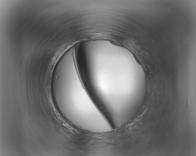 X0000058770241200510071550