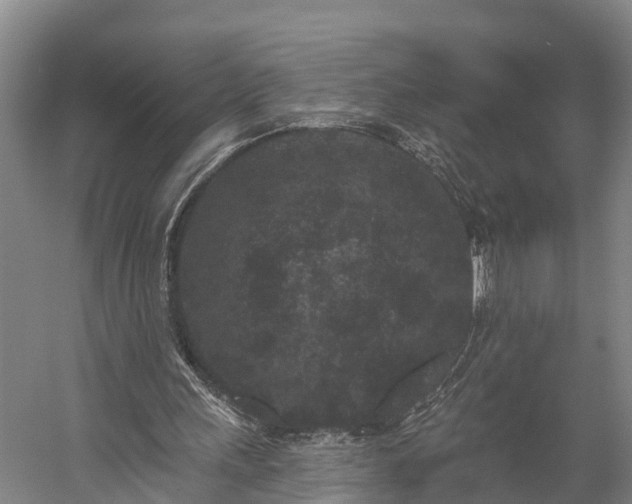 X0000058770243200510071550