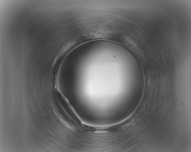 X0000058770250200510071550