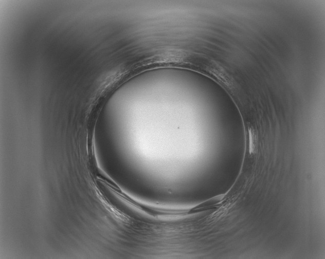 X0000058770253200510071550