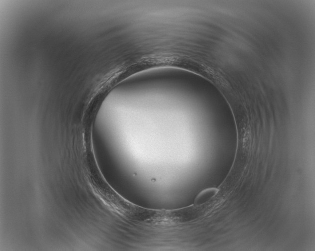 X0000058770254200510071550