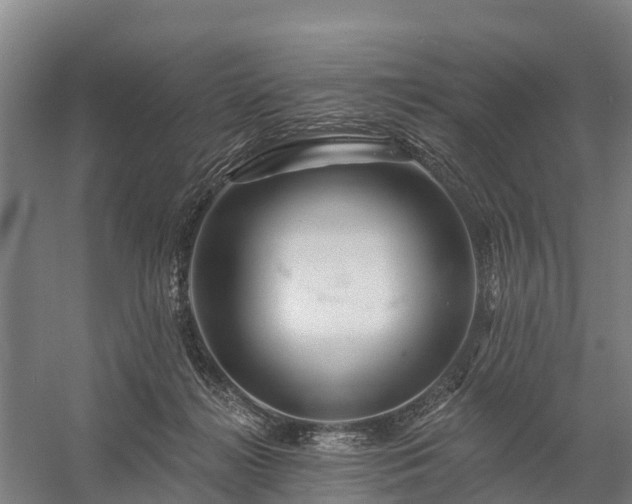X0000058770268200510071550