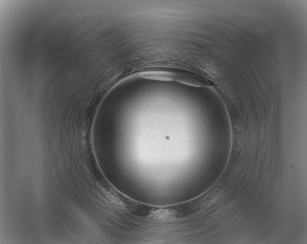 X0000058770269200510071550