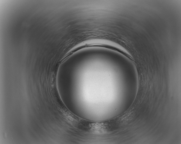 X0000058770273200510071550