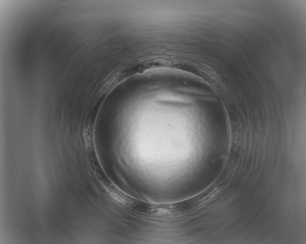 X0000058770285200510071551