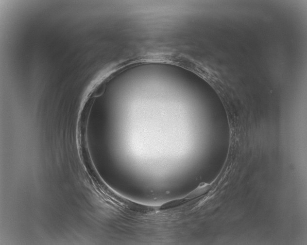 X0000058770294200510071550