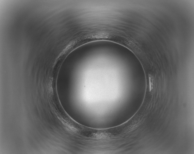 X0000058770300200510071550