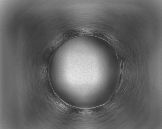 X0000058770318200510071549