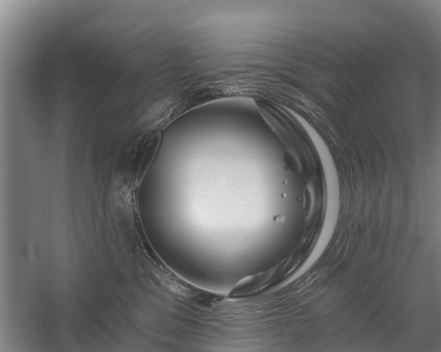 X0000058770329200510071549