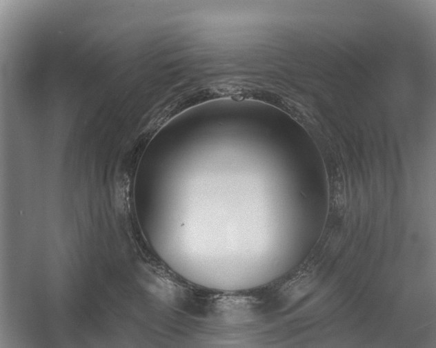 X0000058770332200510071549
