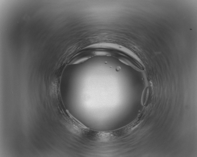 X0000058770333200510071549