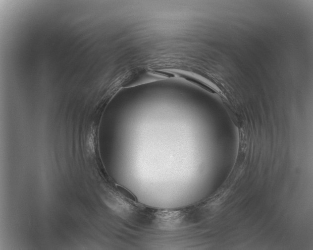 X0000058770334200510071549