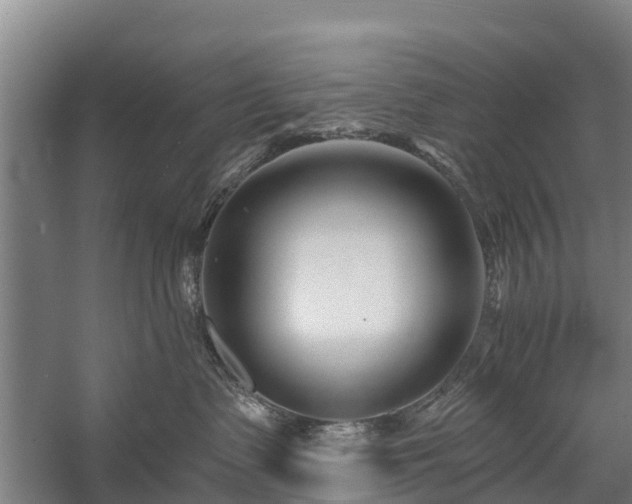 X0000058770335200510071549