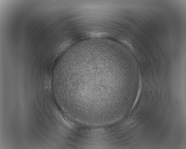 X0000058770357200510071549