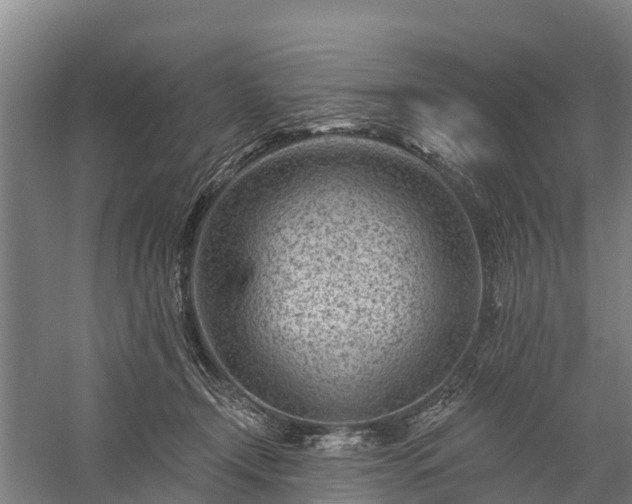 X0000058770366200510071549