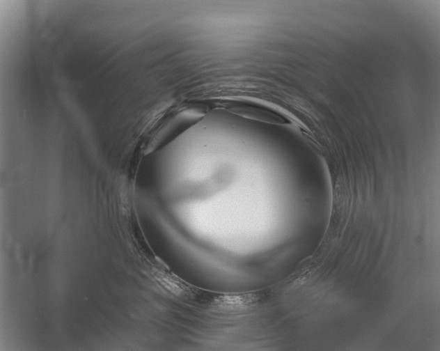 X0000058770381200510071549