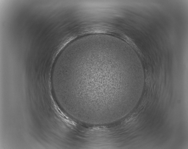 X0000058770386200510071548