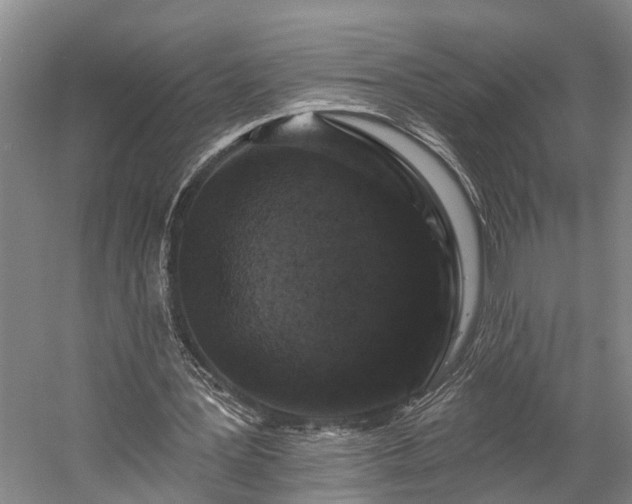 X0000058770387200510071548