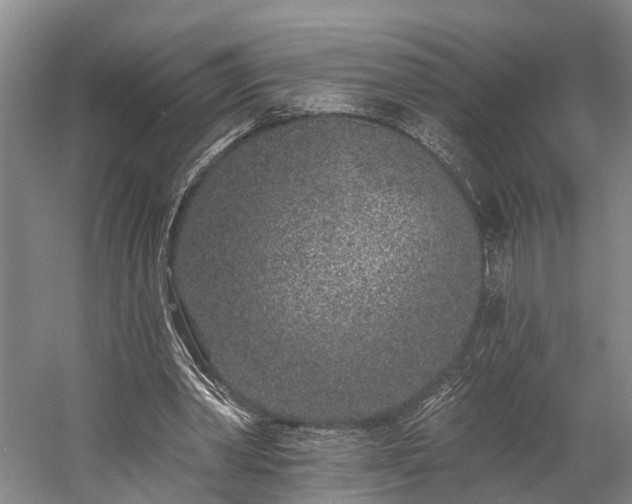 X0000058770390200510071548