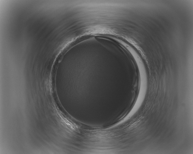 X0000058770391200510071548