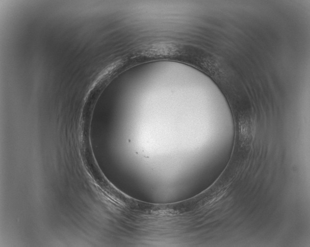 X0000058770396200510071548