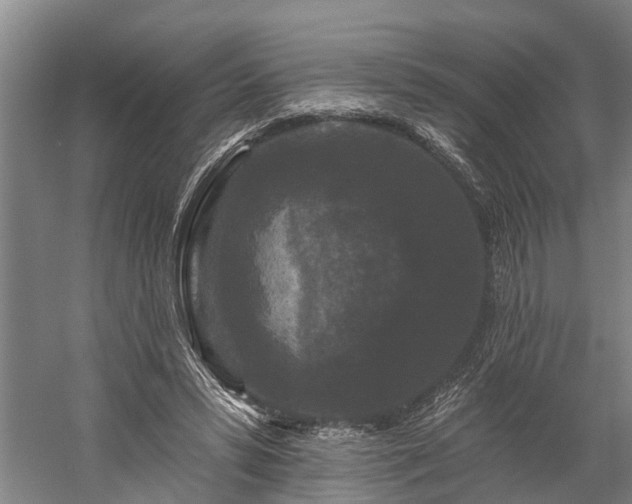 X0000058770399200510071548