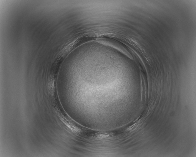 X0000058770405200510071548