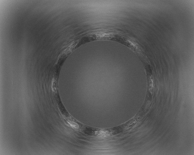 X0000058770419200510071548