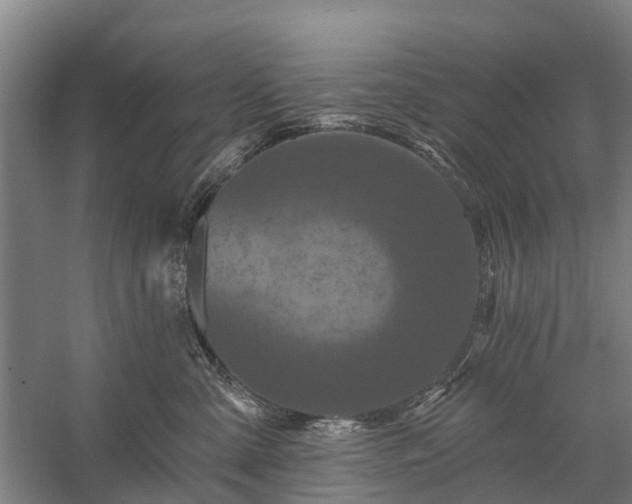 X0000058770427200510071548