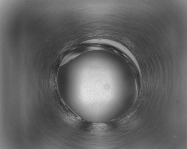 X0000058770429200510071547
