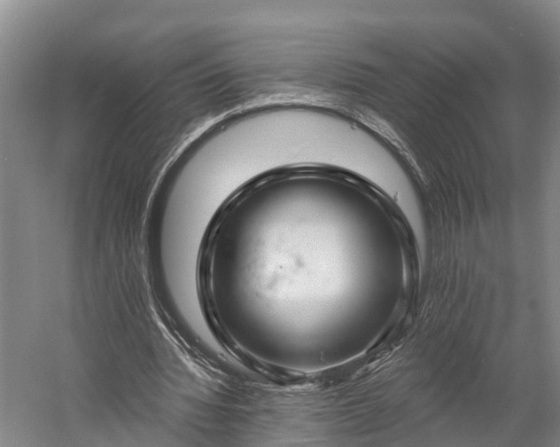 X0000058770436200510071546