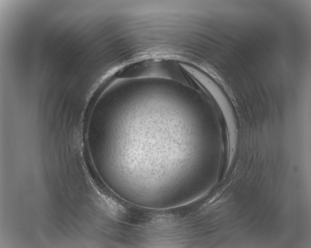 X0000058770438200510071546