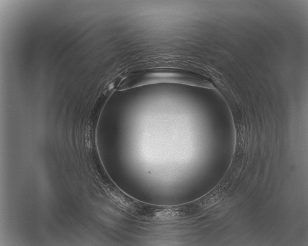 X0000058770470200510071547