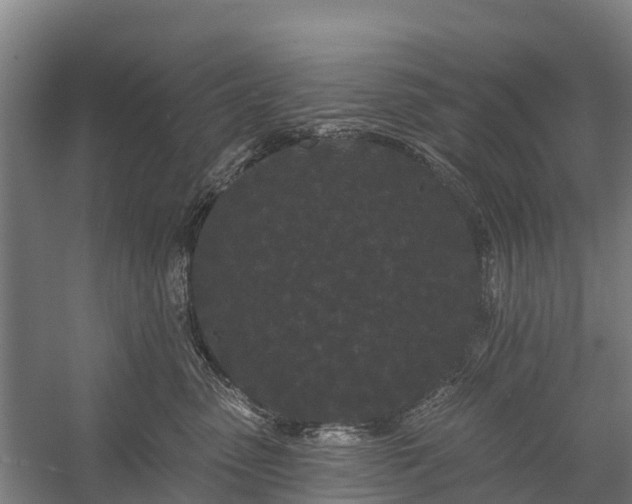 X0000058770475200510071547