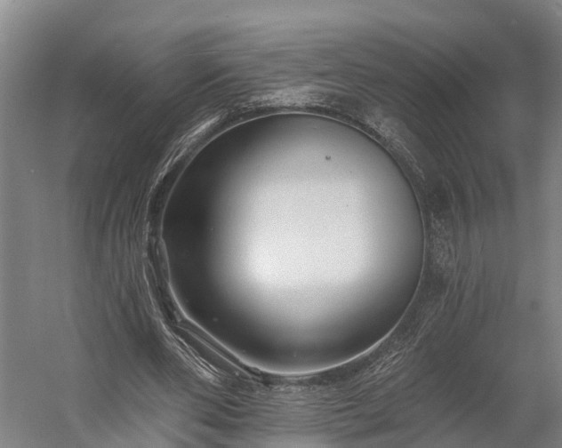 X0000058770486200510071546