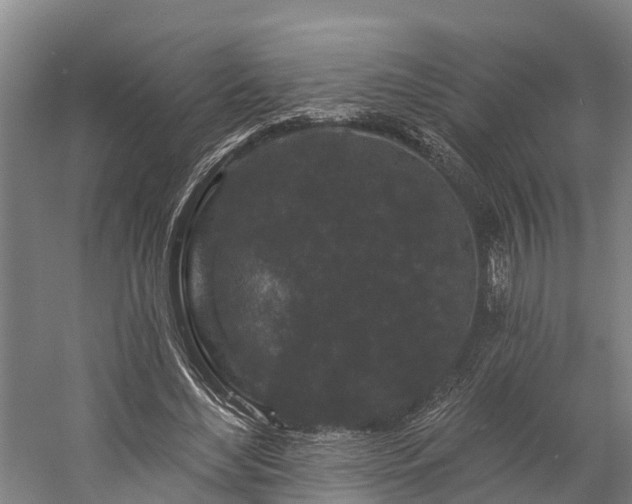 X0000058770492200510071546