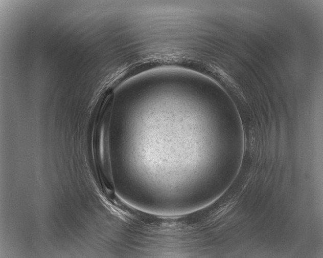 X0000058770493200510071546