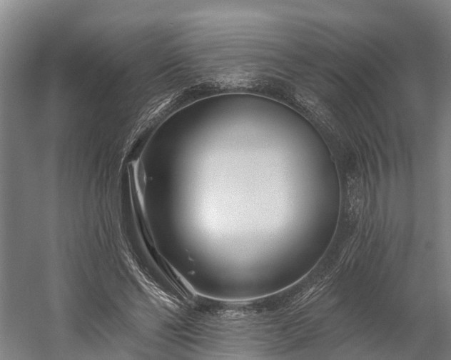X0000058770494200510071546
