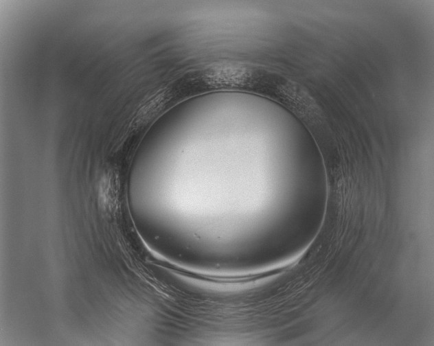 X0000058770498200510071546